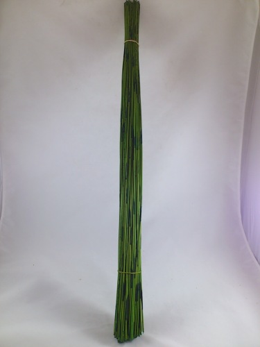 Vlei reed 400 gr. 80 cm apfelgrün